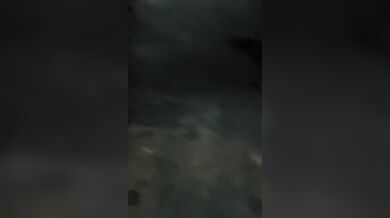 Nejhorší hlídací pes