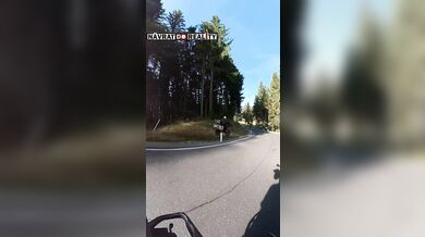 Divoká jízda mimo silnici v Alpách: Motorkář vyjel ze zatáčky a projel lesem i loukou