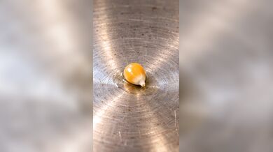 Experiment s popcornem
