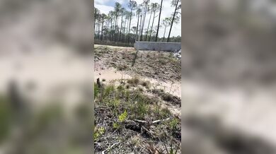 Hašení hořícího grilu na korbě auta na Floridě: Řidič couvnul s vozem rovnou do řeky
