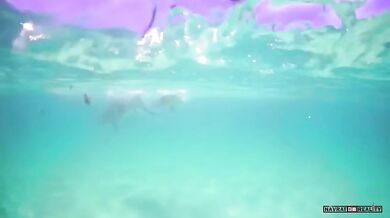 Žralok vs. želva (foto + video)