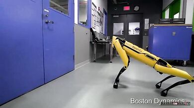Robot od společnosti Boston Dynamics #2