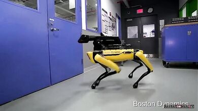 Robot od společnosti Boston Dynamics #2