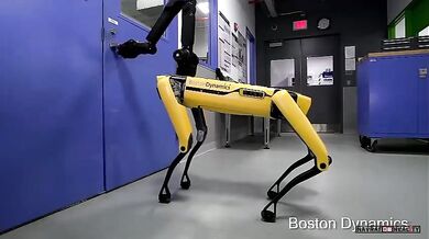 Robot od společnosti Boston Dynamics #2