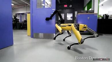 Robot od společnosti Boston Dynamics #2