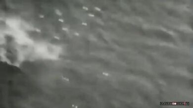 Bitva v Korálovém moři (1942)