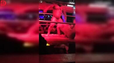 Crocodile Death Roll