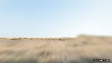 Timelapse - Safari Botswana