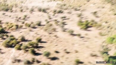 Timelapse - Safari Botswana