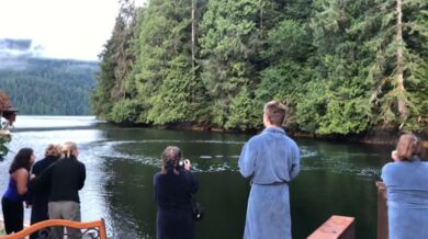 Setkání s velrybami #15