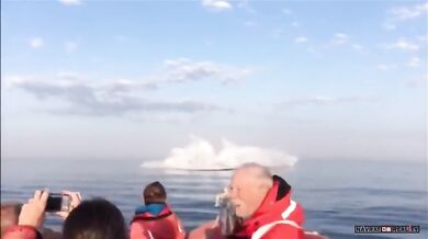 Setkání s velrybami #18