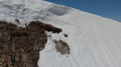 Medvědice s mládětem vs. dron