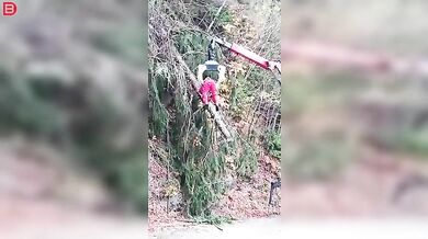 Profi dřevorubec v akci #3