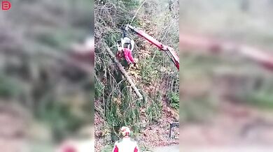 Profi dřevorubec v akci #3