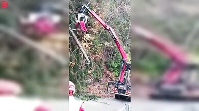 Profi dřevorubec v akci #3