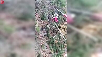 Profi dřevorubec v akci #3