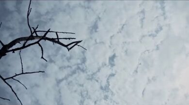 Útok mrtvých: Osovets