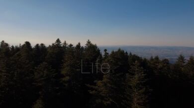 Příroda v parku Pilat