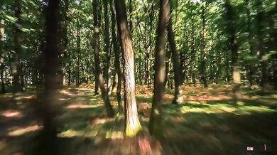 Příroda v parku Pilat