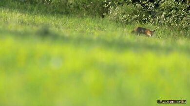 Příroda v parku Pilat