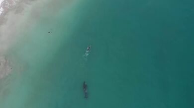 Setkání s kosatkami