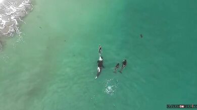 Setkání s kosatkami