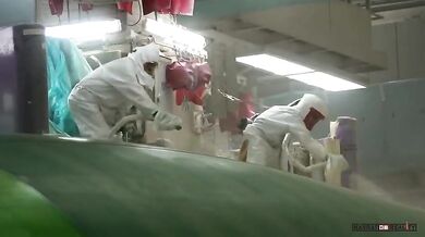 Speciální nastříkání na Airbusu A380