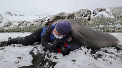 Fotografka v obležení tuleňů
