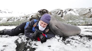 Fotografka v obležení tuleňů