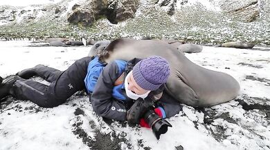 Fotografka v obležení tuleňů