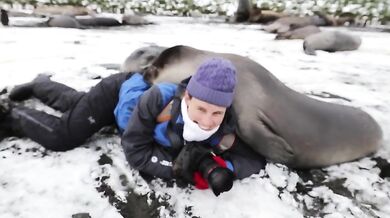 Fotografka v obležení tuleňů