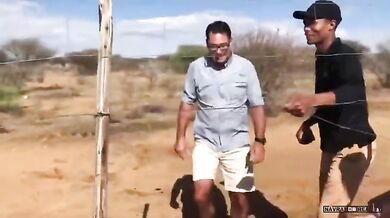 Setkání s lovícími gepardy