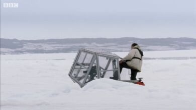 Drama s ledním medvědem