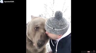 Mihail Tiger (foto + video)