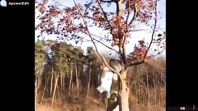 Mihail Tiger (foto + video)