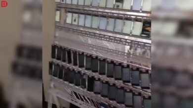 Čínská farma na lajky