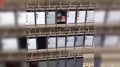 Čínská farma na lajky