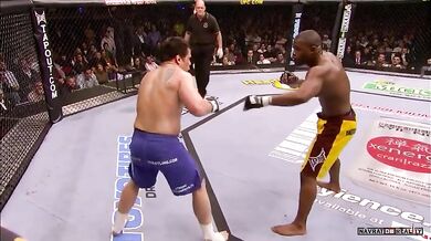 Top 20 Knockouts in UFC History