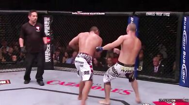 Top 20 Knockouts in UFC History