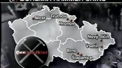 Skinheads v České Republice v 90. letech