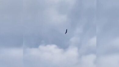 Stíhačka F-35 v akci