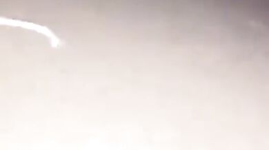 Mexická mořská ještěrka