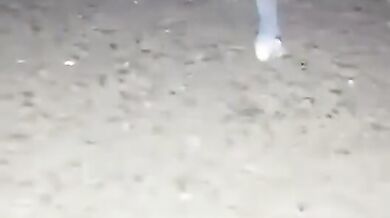 Mexická mořská ještěrka