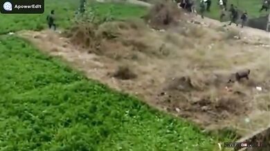 Útok leoparda #13 (foto + video)