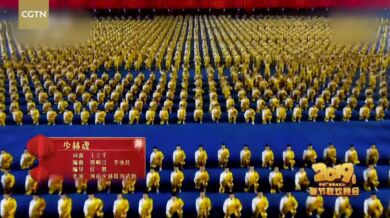 Spring Festival Gala 2019: The Soul of Shaolin