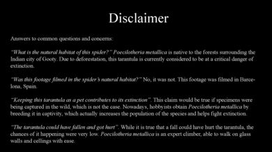 Sklípkan kovolesklý