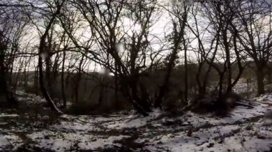 Útok divočáka na lovce