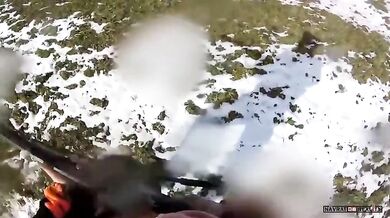 Útok divočáka na lovce