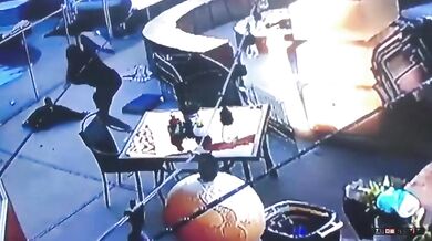 Jestřáb zaútočí na psa