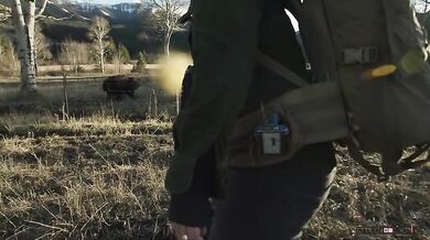 Setkání s medvědem #45